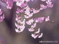 丽水市雪之韵雅安服装店