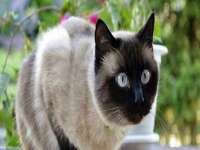丽水市雪之韵雅安服装店