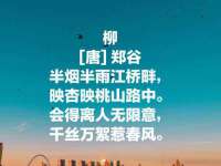 丽水市雪之韵雅安服装店