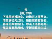 丽水市雪之韵雅安服装店