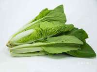 丽水市雪之韵雅安服装店