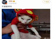 丽水市雪之韵雅安服装店